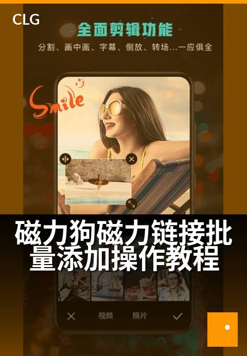 磁力狗磁力链接批量添加操作教程 - 快速批量导入链接指南-使用指南-磁力狗资源