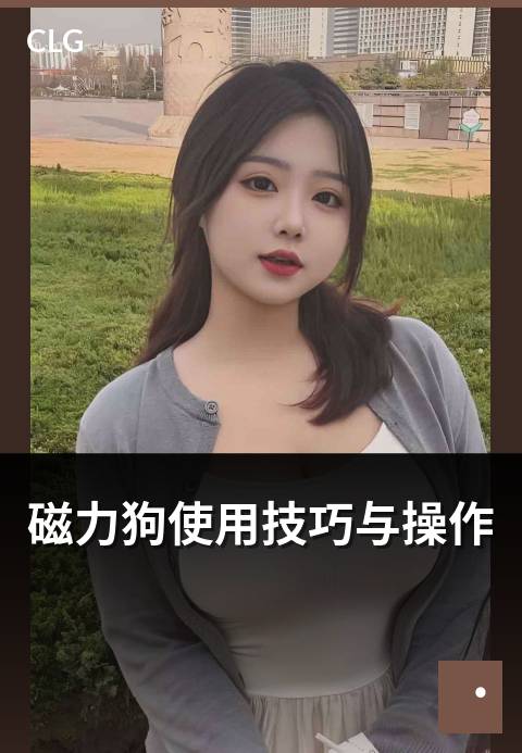 磁力狗使用技巧与操作 - 新手秒变老手的操作指南-使用指南-磁力狗资源
