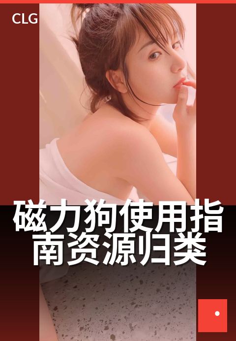 磁力狗使用指南资源归类 - 新手必看：快速上手与技巧-使用指南-磁力狗资源