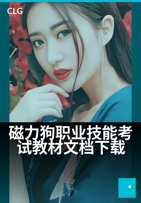 磁力狗职业技能考试教材文档下载 - 电子书备考指南，学磁力技术-书籍文档磁力-磁力狗资源
