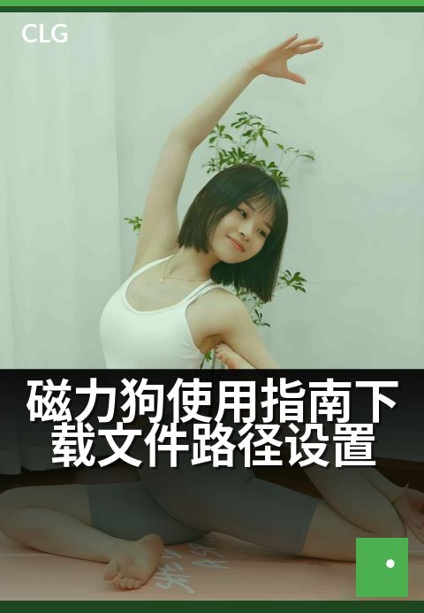 磁力狗使用指南下载文件路径设置 - 三步调整路径，提升下载效率-使用指南-磁力狗资源