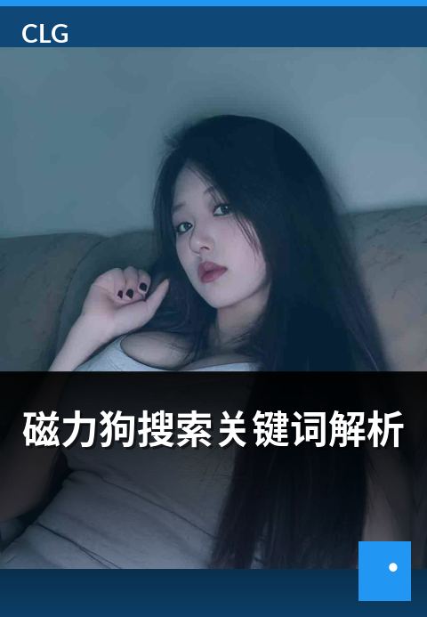 磁力狗搜索关键词解析 - 搜索关键词背后的用户意图分析