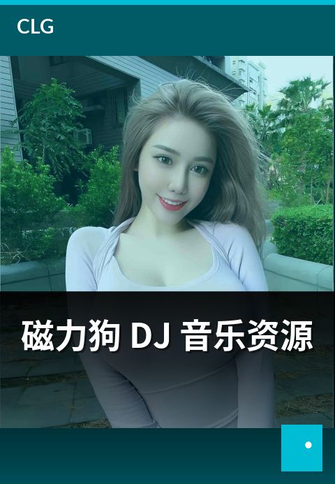磁力狗 DJ 音乐资源 - DJ 音乐资源风格与场景分类