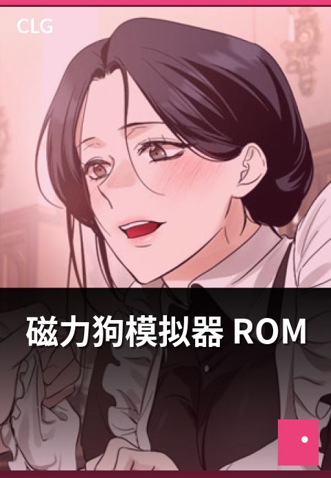 磁力狗模拟器 ROM - 模拟器 ROM 类资源平台分类