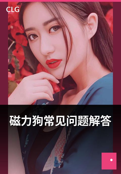 磁力狗常见问题解答 - 高频常见问题集中解答