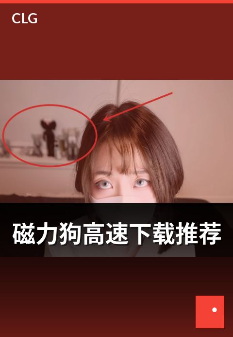 磁力狗高速下载推荐 - 高速种子识别与下载效率提升思路