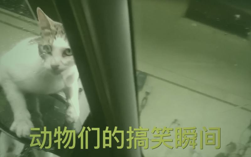 游戏磁力资源搜索界面示意图