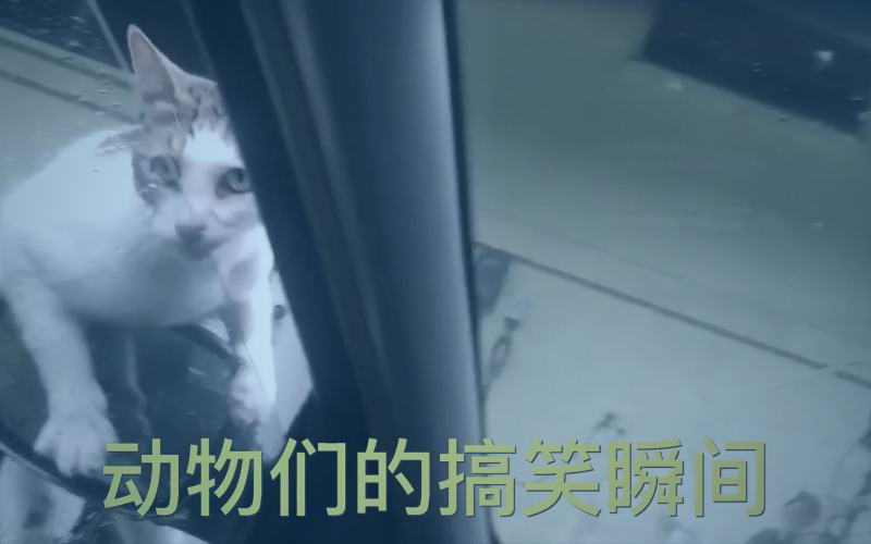 新旧两款下载软件界面的对比图，左侧是早期简易界面，右侧是现代多功能界面